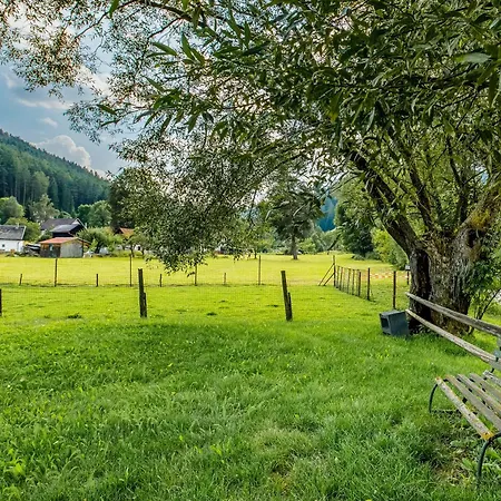 Apartman Rejstejn Appartement *
